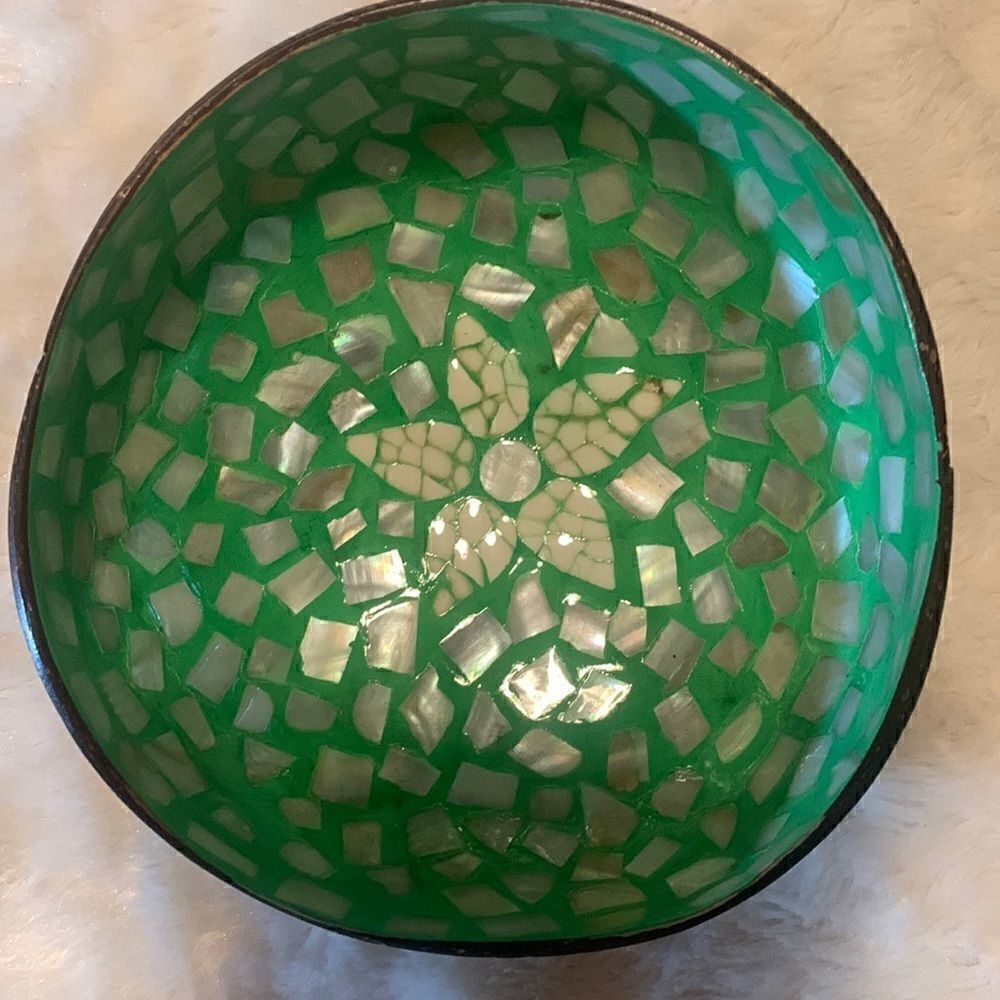 Hand Crafted Sea Shell and Coconut Shell Bowl Abalone